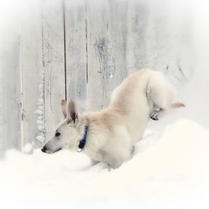 Meet your Posher, Carla